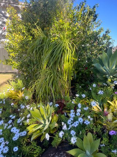 IMG_8806.jpeg IMG_8806.jpeg