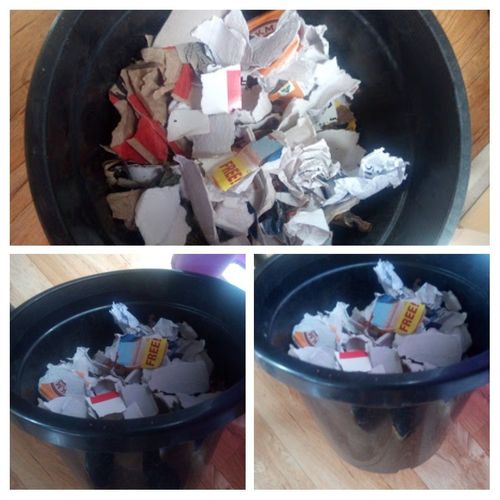 20210131_103306-COLLAGE.jpg 20210131_103306-COLLAGE.jpg