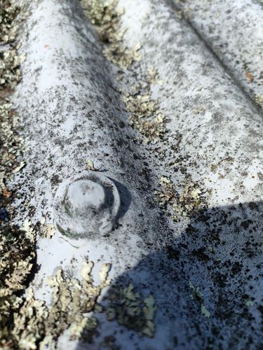 1000012927.jpg 1000012927.jpg