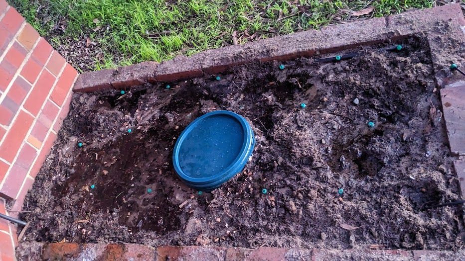 PXL_20240716_094555132.MP.jpg PXL_20240716_094555132.MP.jpg