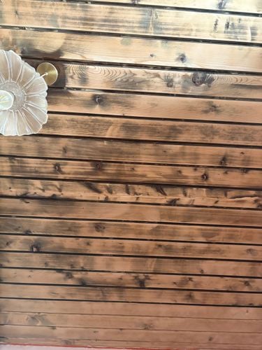 IMG_3855.jpeg IMG_3855.jpeg