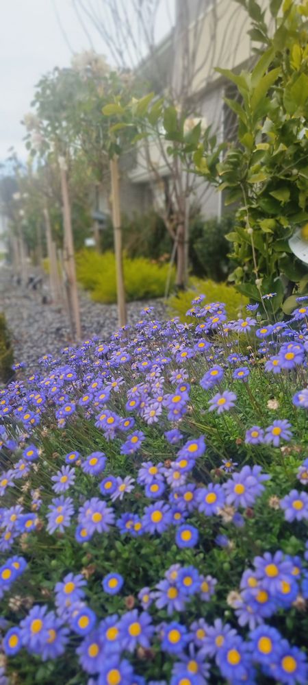 20250627_082935.jpg 20250627_082935.jpg