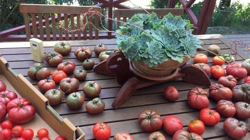 1B3316BF-7EE9-4B1E-AC04-09F388A8141A.jpeg 1B3316BF-7EE9-4B1E-AC04-09F388A8141A.jpeg