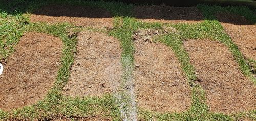 20211027_111052.jpg 20211027_111052.jpg