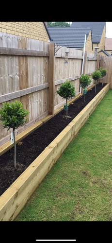 IMG_1385.png IMG_1385.png