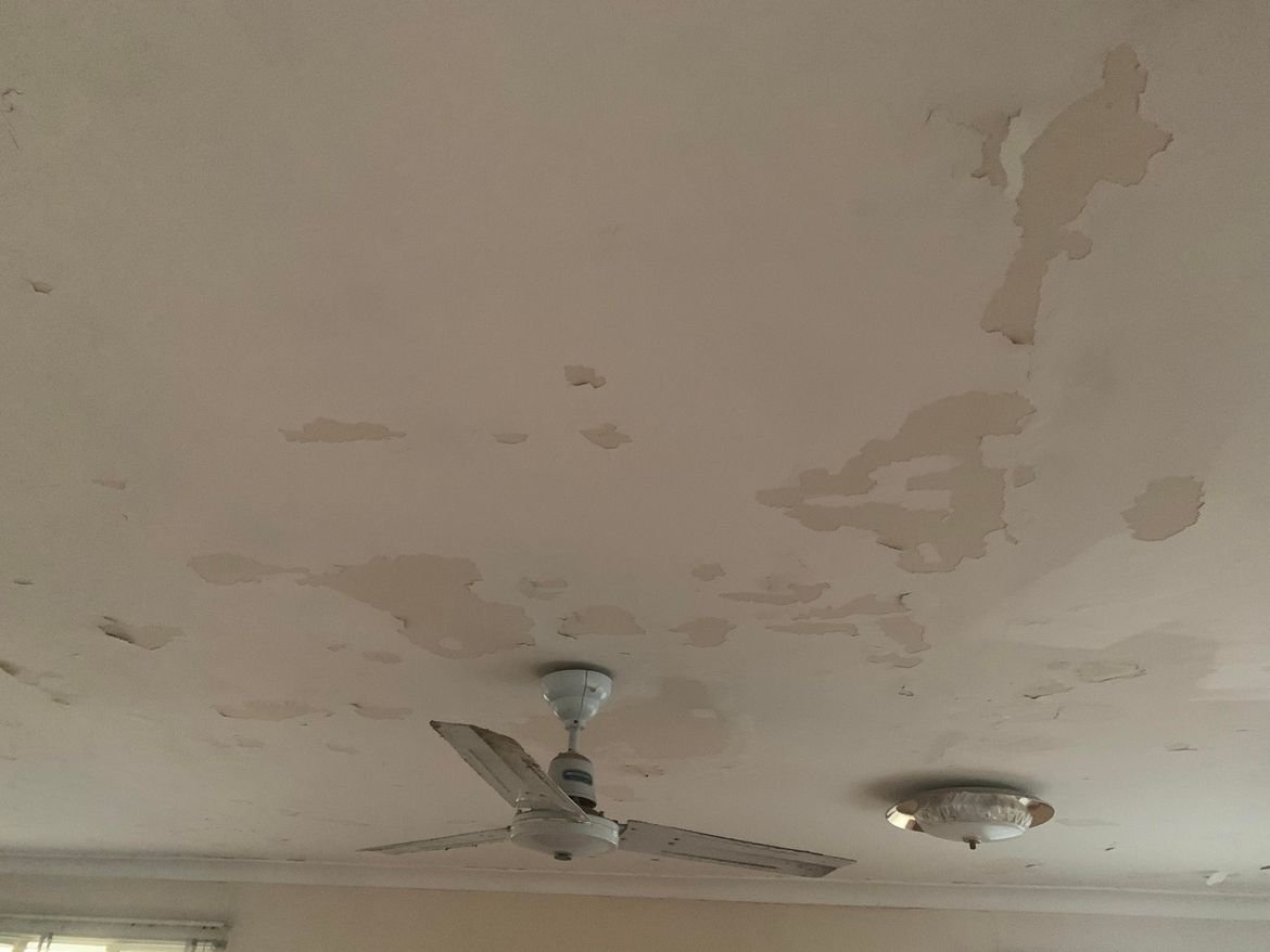 unnamed (1).jpg unnamed (1).jpg