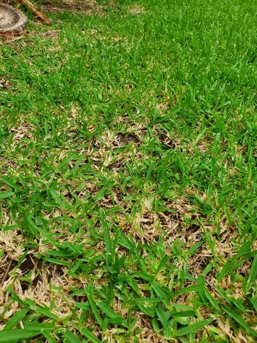 20210220_101854.jpg 20210220_101854.jpg