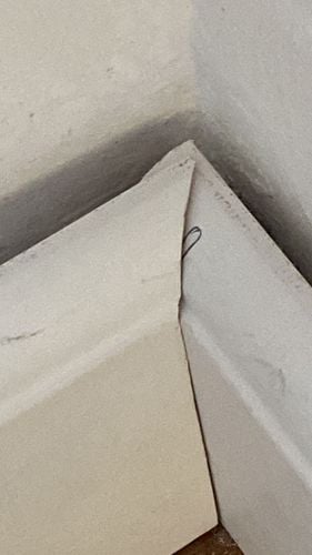 9459DD6F-3A81-476B-BA2A-325FA9A73331.jpeg 9459DD6F-3A81-476B-BA2A-325FA9A73331.jpeg