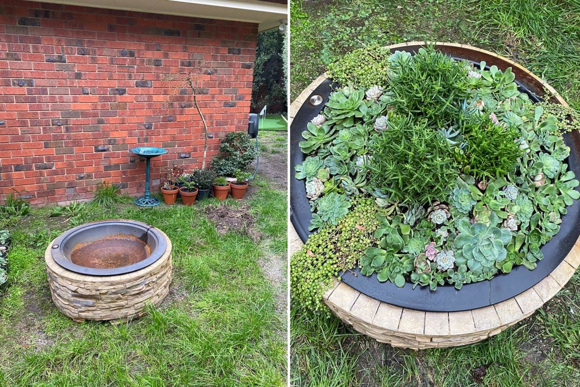 Untitled design.jpg Untitled design.jpg