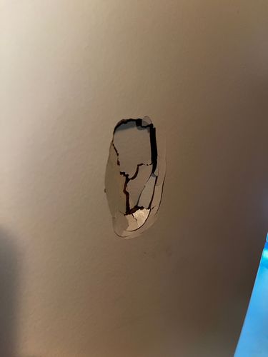 IMG_0225.jpeg IMG_0225.jpeg