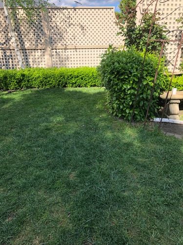 0CC7BFA1-3EA8-467F-AE74-6DC7546E6265.jpeg 0CC7BFA1-3EA8-467F-AE74-6DC7546E6265.jpeg