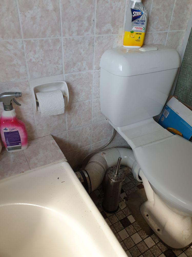 20210912_115103.jpeg 20210912_115103.jpeg