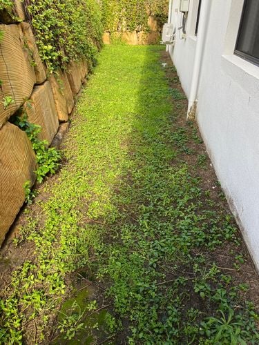 50B2F65A-B996-4910-9A6A-B826FEE8B9E3.jpeg 50B2F65A-B996-4910-9A6A-B826FEE8B9E3.jpeg