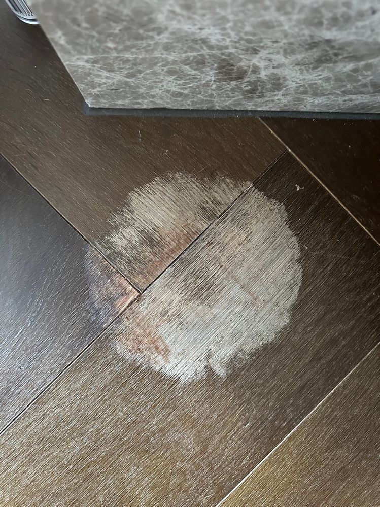 IMG_6008.jpg IMG_6008.jpg