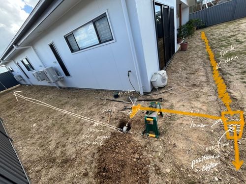 IMG_8177.jpeg IMG_8177.jpeg