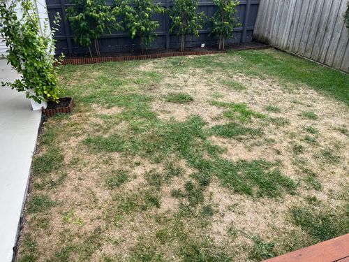 IMG_2100.jpeg IMG_2100.jpeg