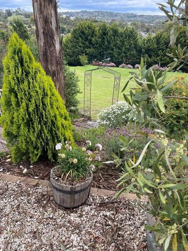 4CECB5FD-6BCA-45A6-8F0D-47655D2857DF.jpeg 4CECB5FD-6BCA-45A6-8F0D-47655D2857DF.jpeg