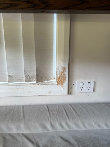 IMG_9612.jpeg IMG_9612.jpeg