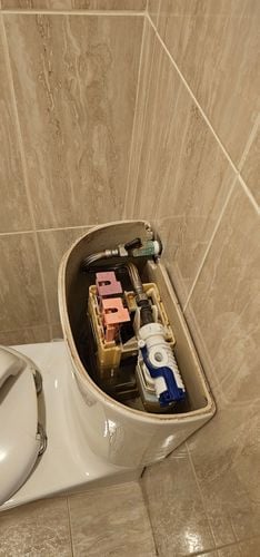 1000168552.jpg 1000168552.jpg