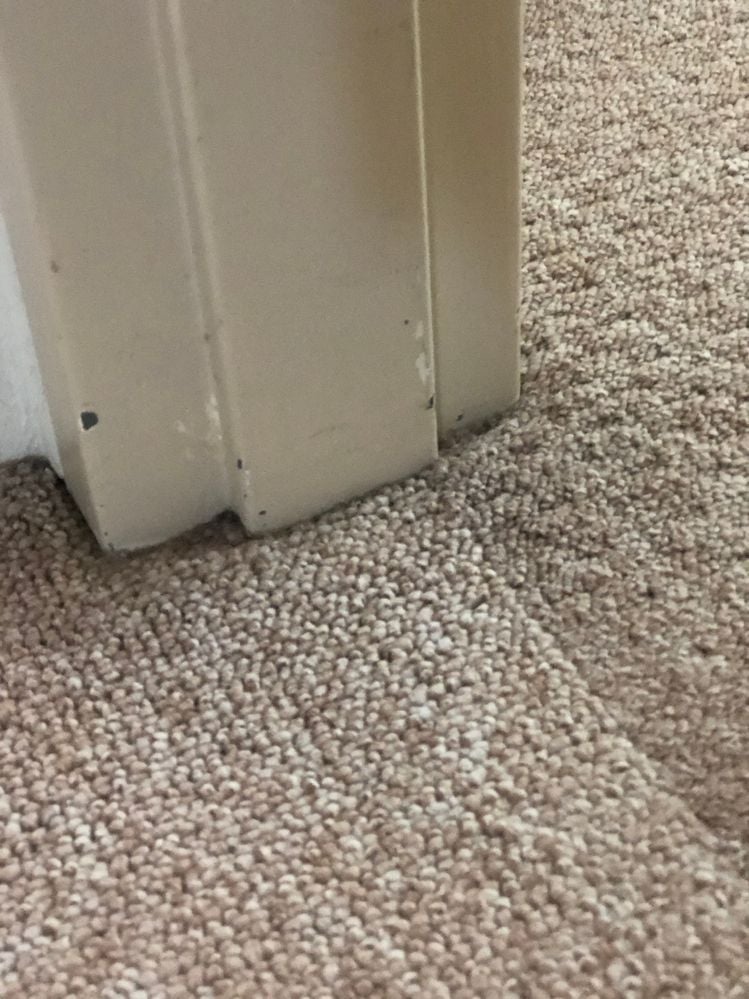 IMG_4937.jpg IMG_4937.jpg