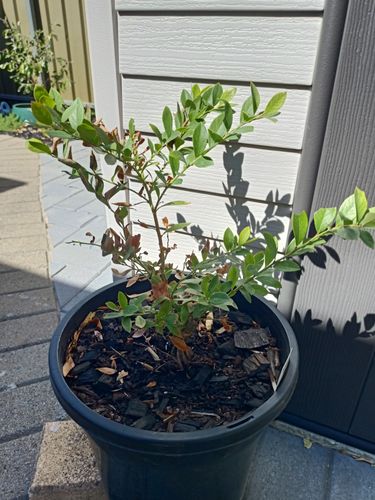 IMG20240331122059.jpg IMG20240331122059.jpg