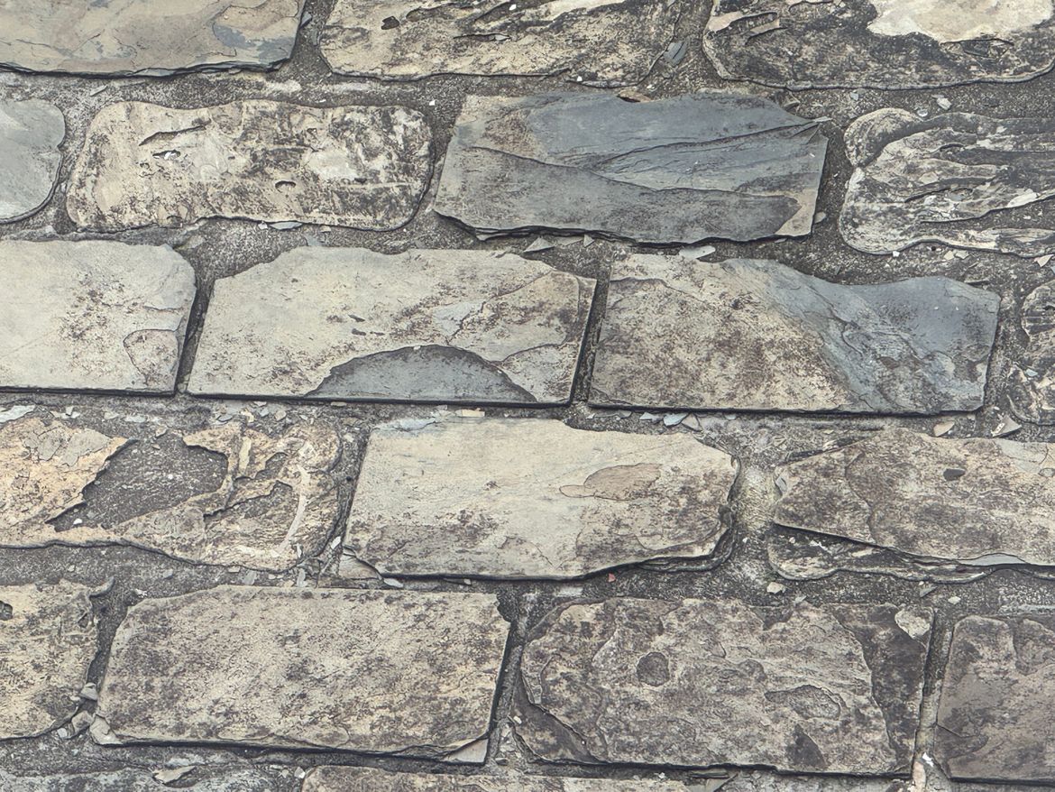 IMG_1696 (1).JPG IMG_1696 (1).JPG