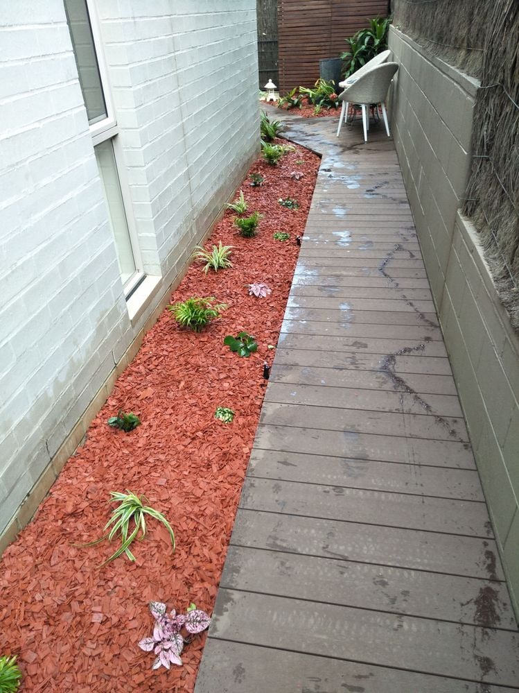 IMG20180525150941.jpg IMG20180525150941.jpg