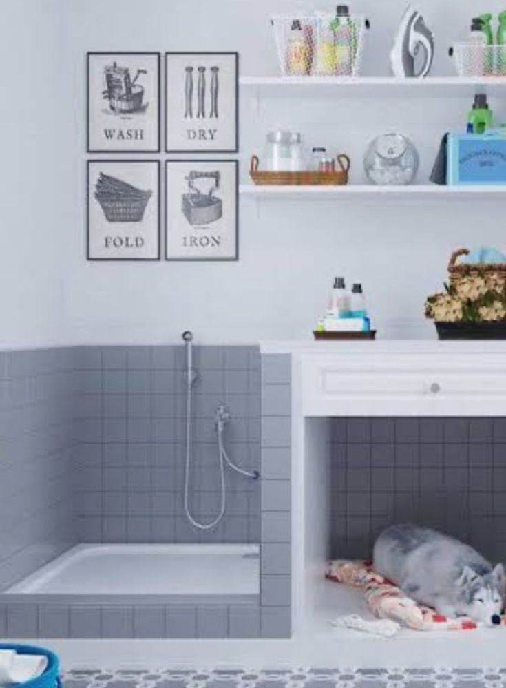 IMG_5815.jpg IMG_5815.jpg