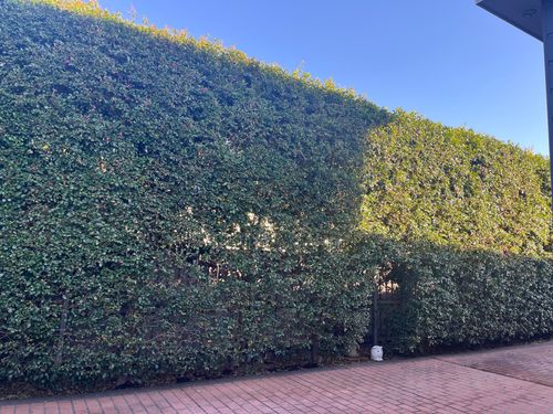 IMG_6826.jpeg IMG_6826.jpeg