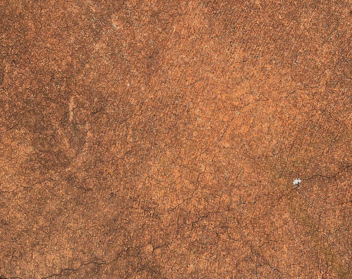 IMG_2215.jpeg IMG_2215.jpeg