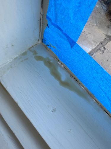 IMG_9408.jpeg IMG_9408.jpeg