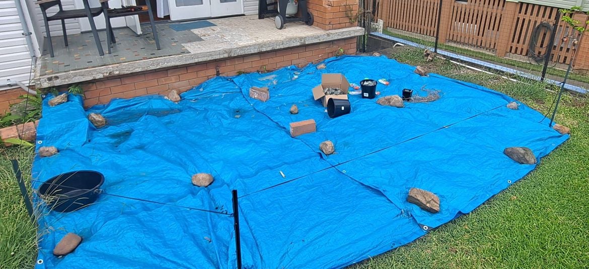 20250207_133447.jpg 20250207_133447.jpg