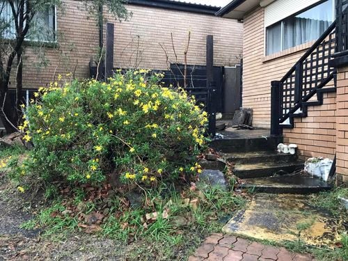 04 03-07-2022.jpg 04 03-07-2022.jpg