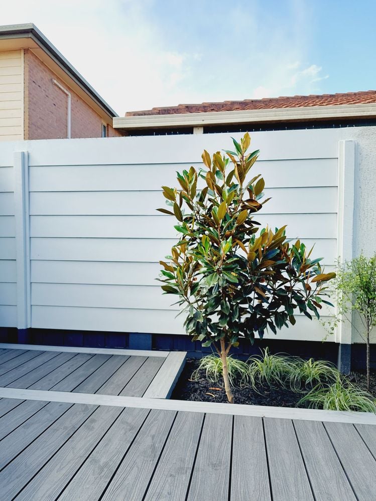 20231224_163951.jpg 20231224_163951.jpg