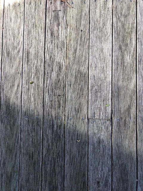 IMG_1602.jpg IMG_1602.jpg