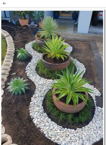 IMG_3329.jpeg IMG_3329.jpeg