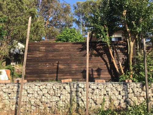 11 23-11-2024.jpg 11 23-11-2024.jpg