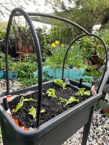 CC3D25C8-744C-4849-9BAE-25DEFE682837.jpeg CC3D25C8-744C-4849-9BAE-25DEFE682837.jpeg