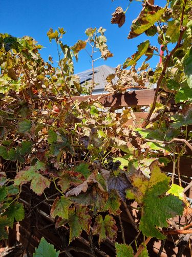 20230312_110104.jpg 20230312_110104.jpg