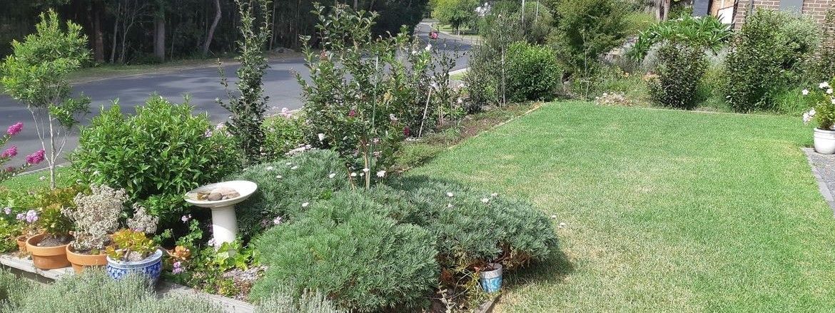 20210311_151406 (2).jpg 20210311_151406 (2).jpg