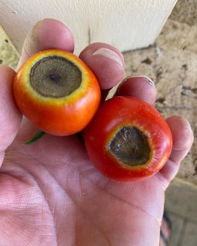 C5C32A91-1F9A-4834-A208-E115A6B41019.jpeg C5C32A91-1F9A-4834-A208-E115A6B41019.jpeg