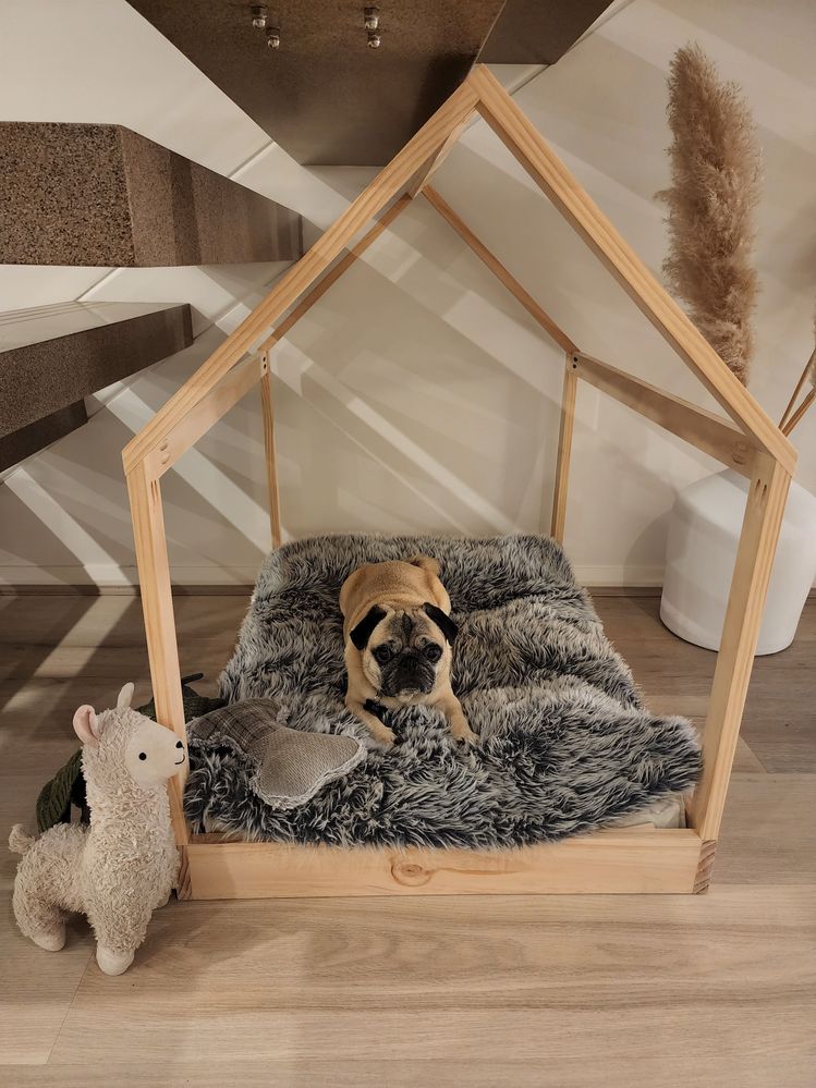 20220526_200040.jpg 20220526_200040.jpg