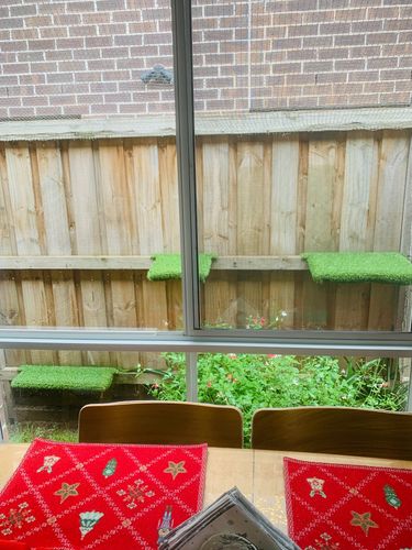 IMG_8920.jpeg IMG_8920.jpeg