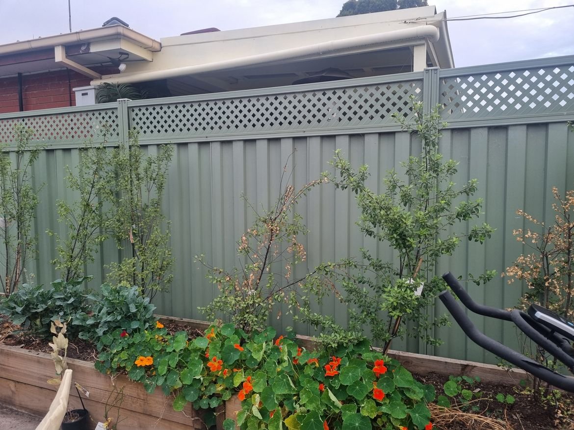 20230321_074334(1).jpg 20230321_074334(1).jpg