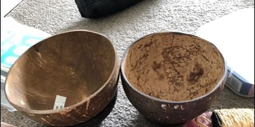 300995756_5492577054097629_6748723544676702562_n.jpg 300995756_5492577054097629_6748723544676702562_n.jpg