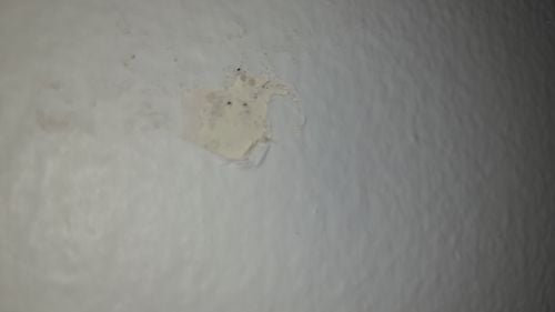 20221009_193917.jpg 20221009_193917.jpg