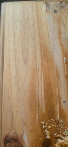 1000022558.jpg 1000022558.jpg