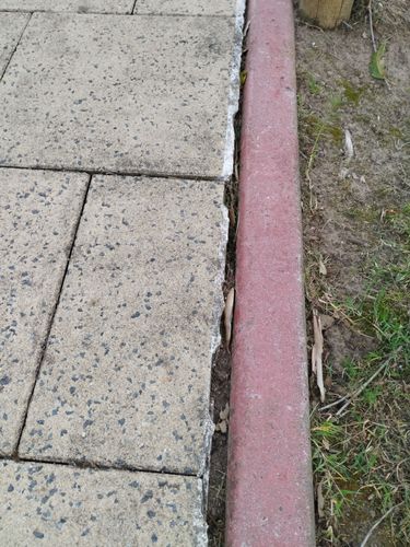 1000021787.jpg 1000021787.jpg