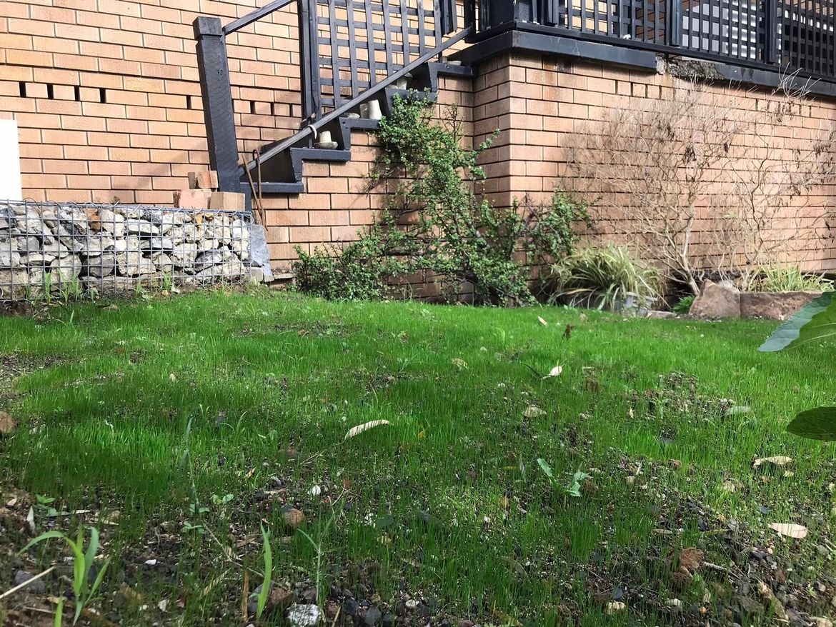 61 19-10-2022.jpg 61 19-10-2022.jpg