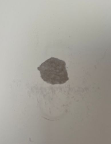 IMG_5428.jpeg IMG_5428.jpeg